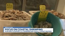 New plan aims to support US fishermen, locally caught shrimp