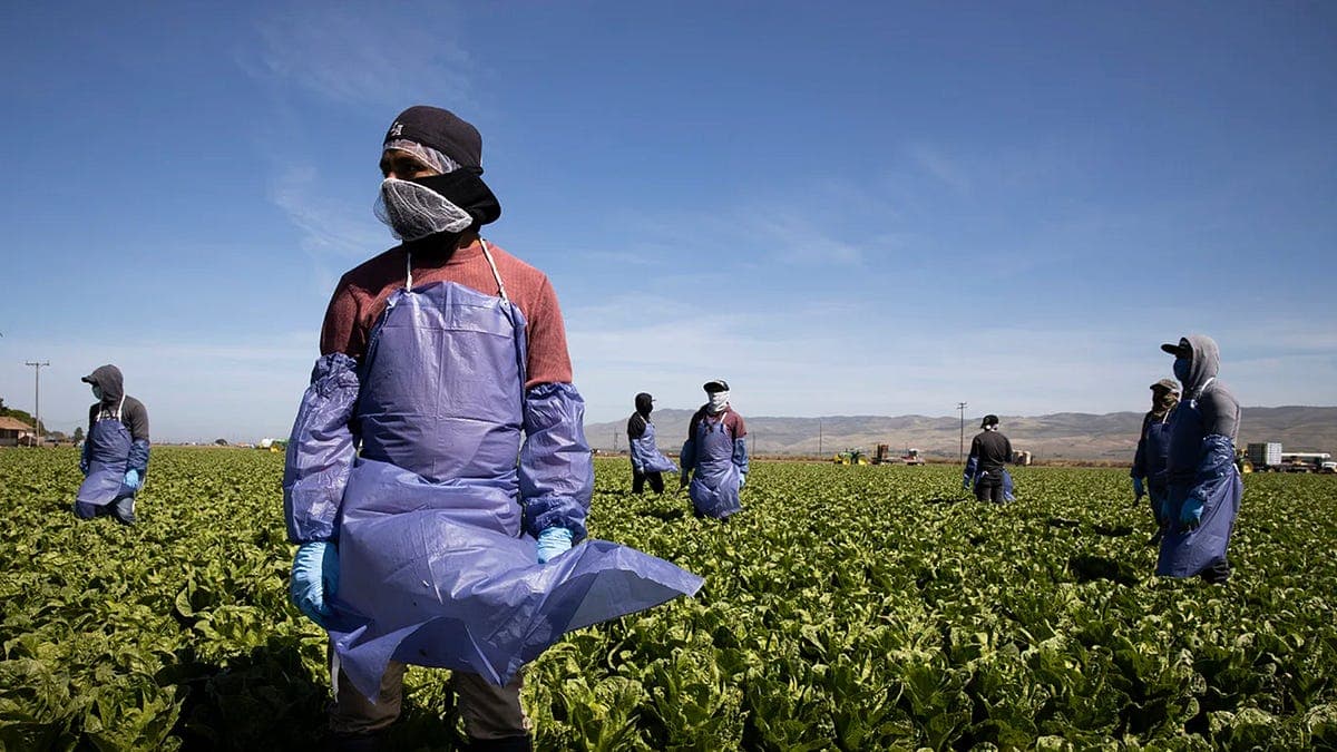 Xenophobia as a Weapon For Working-Class Disunity