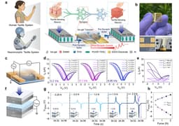 Battery-Free Wearable Sensor Enables Activity Recognition for Health Monitoring