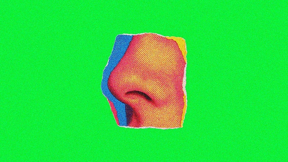 We Forgot About the Nose-Brain Axis | by Shin Jie Yong, MSc (Res) | Microbial Instincts | Mar, 2026 | Medium