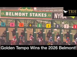 Belmont Stakes 2026 Recap: Golden Tempo, Commandment, Renegade, Chief Wallabee
