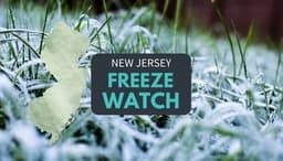 Climate Scam – Climate Lies – Failed Green New Deal is a Warning to Us All