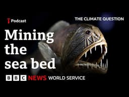Should we mine the deep ocean? - The Climate Question Podcast, BBC World Service