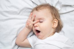 Toddler Sleep Training: Which Method Works for Your Child?
