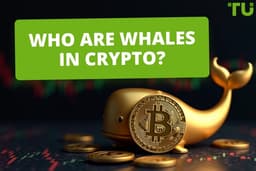 Crypto Whales In 2026: Who They Are And How They Move Markets