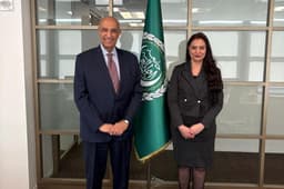 
	INTERVIEW| Arab diplomacy at UN working to contain escalation: Arab League observer at UN - Foreign Affairs - Egypt - Ahram Online 
