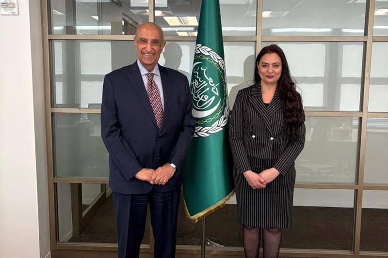 
	INTERVIEW| Arab diplomacy at UN working to contain escalation: Arab League observer at UN - Foreign Affairs - Egypt - Ahram Online 

