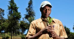 From Ridge to Reef: Saint Lucia's Ecopreneurs Are ...