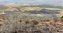 310 fire in Parachute still uncontained | News | gjsentinel.com