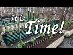 Raised Beds' Season Begins!
