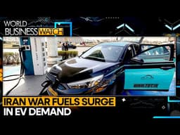 China EV Market Recovers on Subsidies, Fuel Shock | World Business Watch