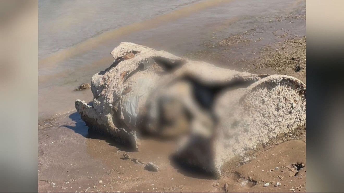 Lake Mead barrel murder victim identified more than 4 ...