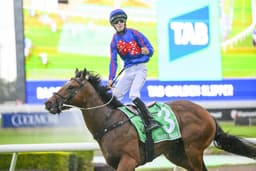 Golden Rose Tips, Field, Betting, Odds & Horse Previews – 2026