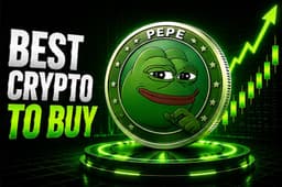 The Search for the Next Pepe Coin Lands on a Presale ...