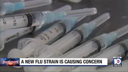 New Flu Strain Concerns Rise