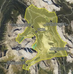 Bold grizzly behaviour prompts warning for Skoki trails in ...
