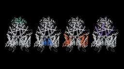 @ylecun reposted: A closer look at what we released today 🧵

ESMC is a language model trained on b...