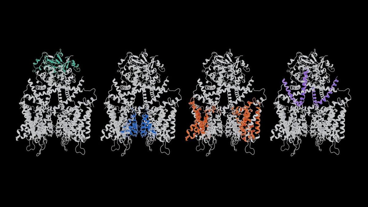 OpenFold3 + BioNeMo/Roche: open biomed factories