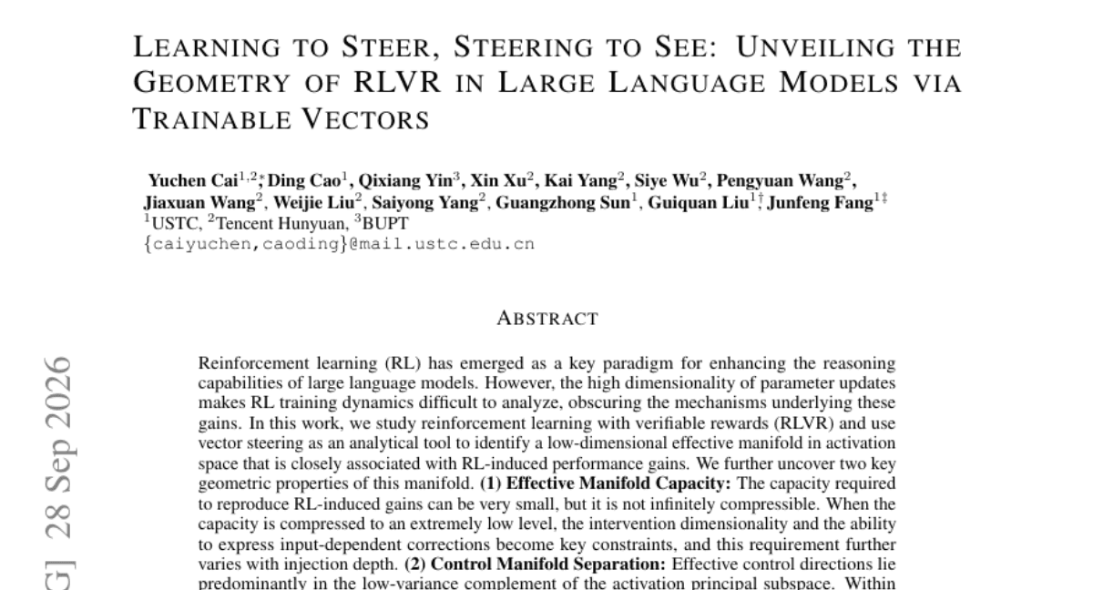 Learning to Steer, Steering to See: Unveiling the Geometry of RLVR in Large Language Models via Trainable Vectors