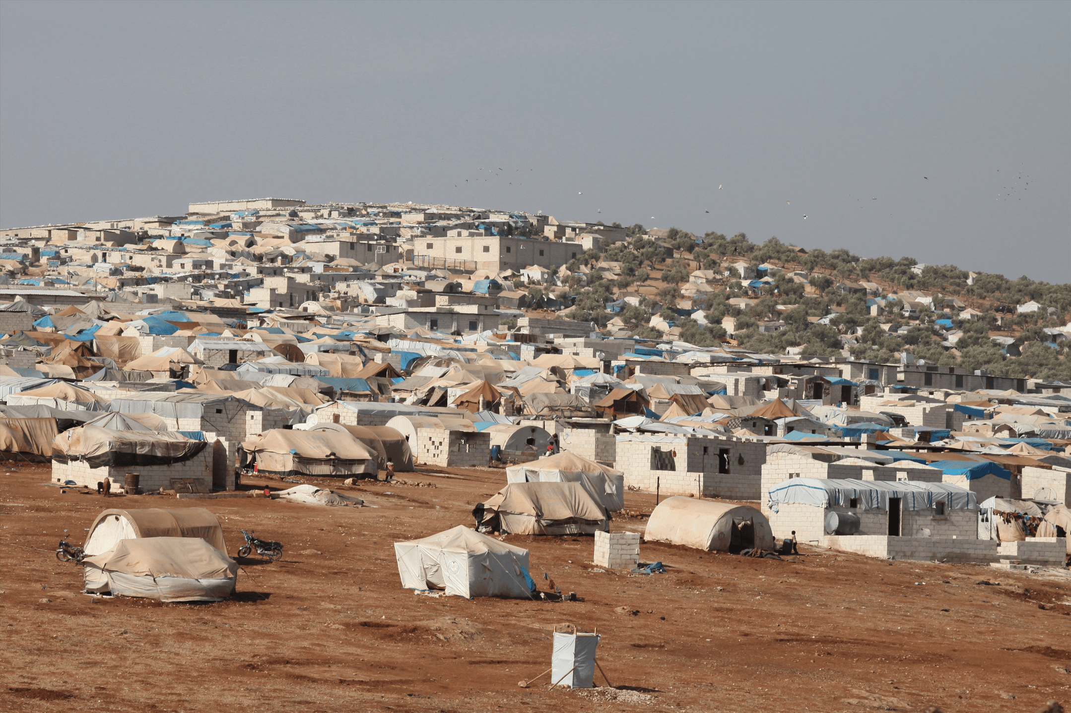 From Mandate Legacy to Protracted Conflict: A PSC ...