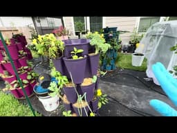 GreenStalk Vertical Planter/ Shading New Transplants 