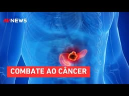 Pesquisa revela avanço com pílulas para tratamento de tumor no pâncreas