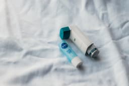 Maine DEP Warns of Elevated Ozone Levels on May 19, 2026