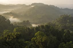 How we work: Protected Areas & Connected Landscapes