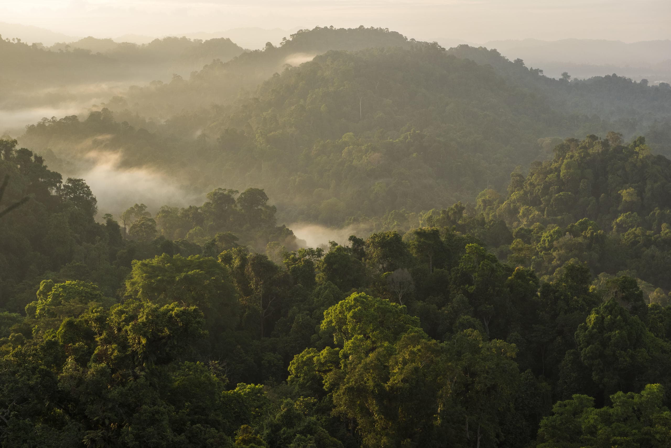 How we work: Protected Areas & Connected Landscapes