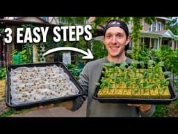 How To Germinate Spinach Seeds! THIS Method Works Every Time