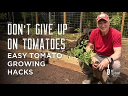 Don’t Let These Tomato Growing Problems Stop You