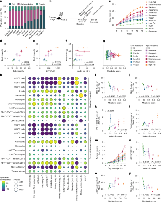 Diet–microbiome synergy underlies obesity-associated ...