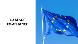 The EU AI Act Compliance Guide: Best Practices for ...