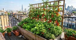 Best Small Space Vegetable Gardening Tips To Grow More In ...