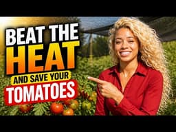 Your Tomato Flowers Are Falling Off Because of This