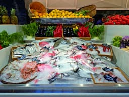 Two Ambitious Arrivals Are Redefining Seafood Dining in ...