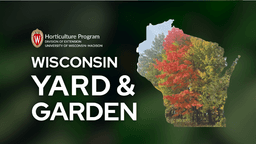 Minimizing Winter Damage from Wildlife - Wisconsin Horticulture