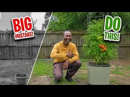 Most People Plant Tomatoes in Containers Wrong — Do This Instead