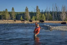 Yellowstone lifts fishing restrictions on most rivers and streams parkwide