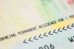 Skilled Migration to Netherlands Halves Since 2022 Peak