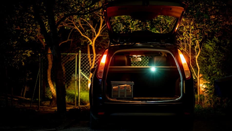 Best Flashlights for Road Trips & Overlanding: 2026 Gear ...