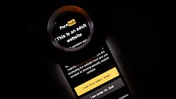 UK internet age checks have boosted rogue adult sites, ...