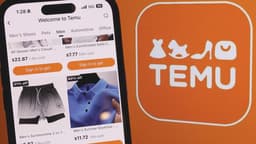 AG Brenna Bird sues Temu for alleged violations of Iowa ...