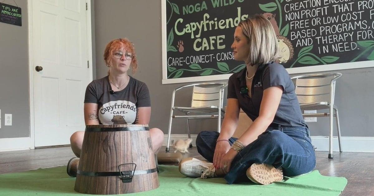 Georgia Wildlife Cafe Turns Exotic Encounters Into ...