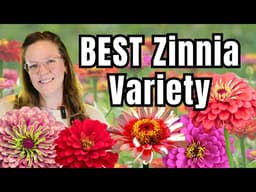 🪷 BEST ZINNIA VARIETIES 🌼 12 Must Grow Zinnias for Cut Flowers & Stunning Gardens!