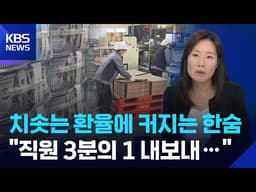치솟는 환율에 커지는 ‘한숨’…기업도 ‘환율 패닉’ [뉴스in뉴스] / KBS  2026.04.03.
