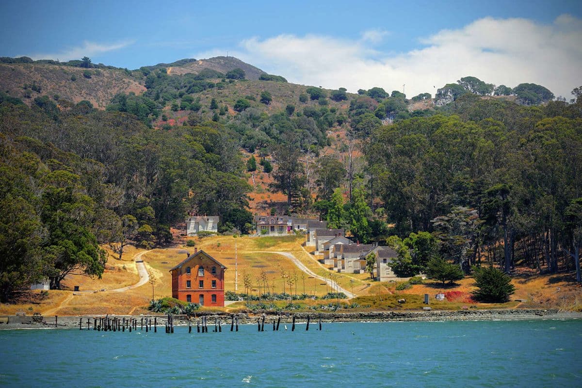 A family of coyotes may disturb a delicate ecosystem on Angel Island