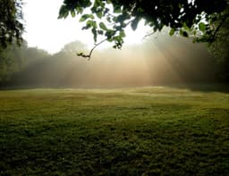 The Full Spiritual Exercises | June 29, 2026 | Jesuit Retreat Center | Retreats and Spiritual Programs | Cleveland, OH