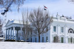 Pause H-1B visas for 3 yrs, cap cut from 65,000 to 25,000: US Bill proposes | Immigration News - Business Standard