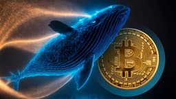 Bitcoin Whale Transfers Over $20 Million Worth of BTC to Binance Exchange! Pre-Sale Preparation? Here Are the Details - Bitcoin Sistemi